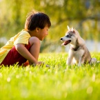 a child playing with a dog